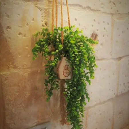 La Casetta 11 Lejlighed *