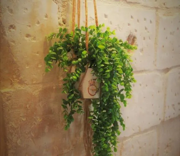 La Casetta 11 Appartamento *